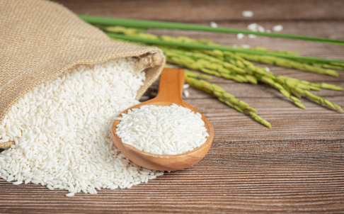 Rice