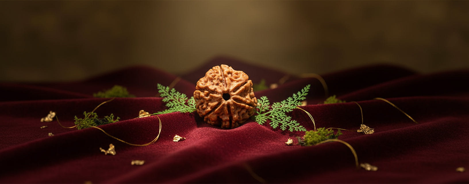 Rudraksha
