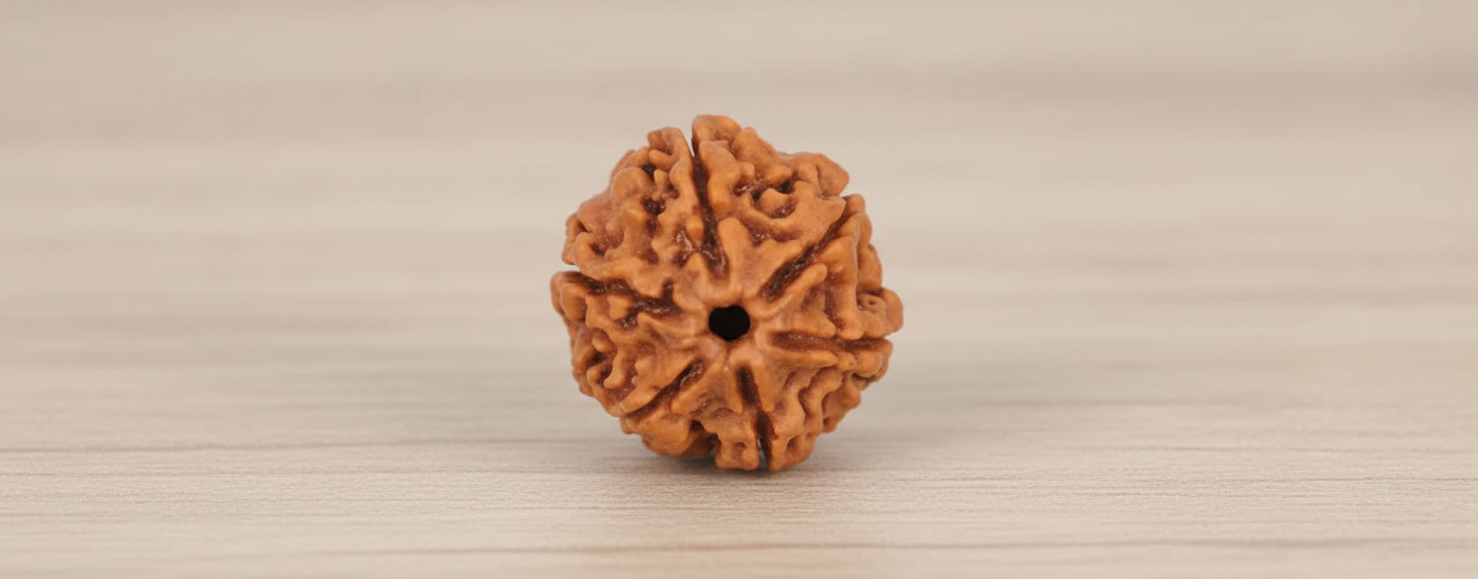 Rudraksha