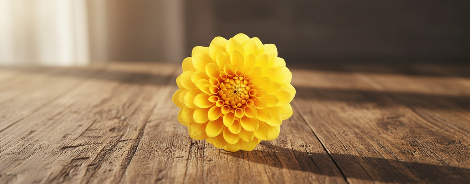Yellow Flowers