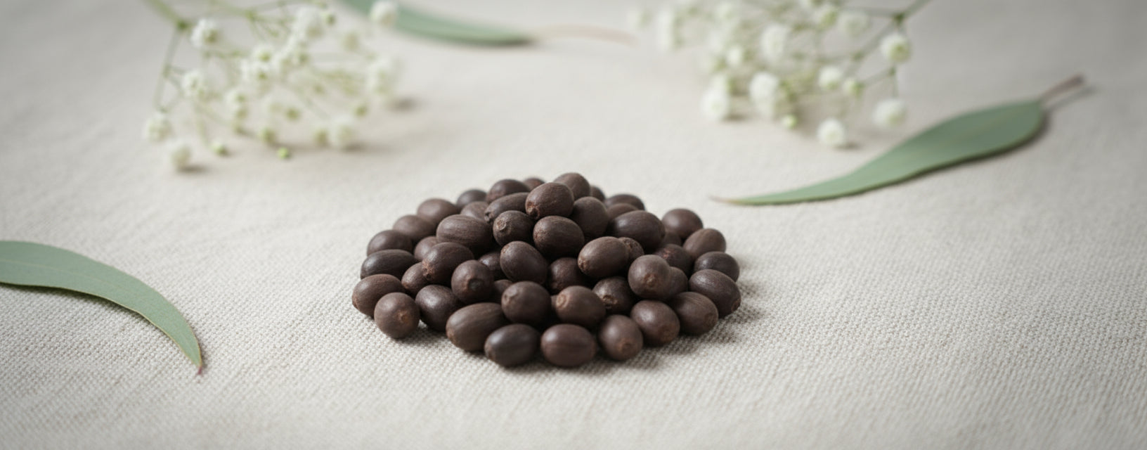 Lotus Seeds