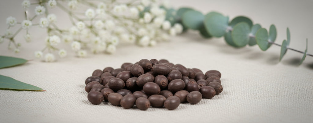 Lotus Seeds