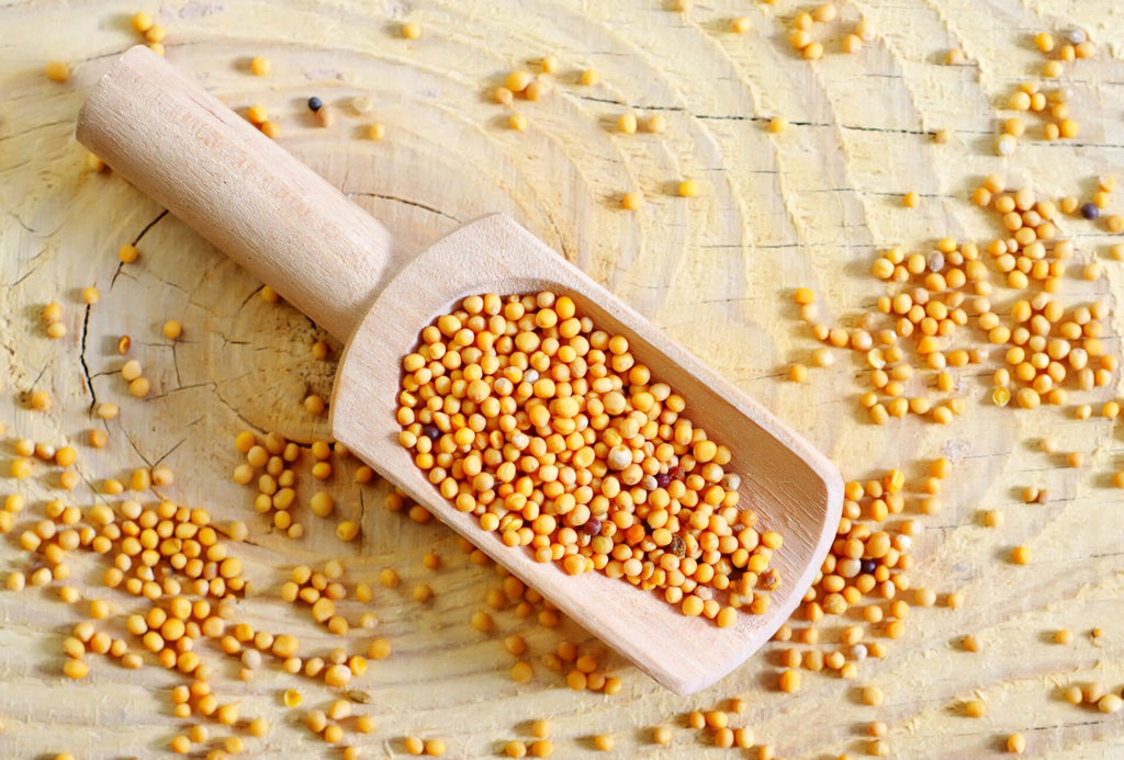yellow mustard